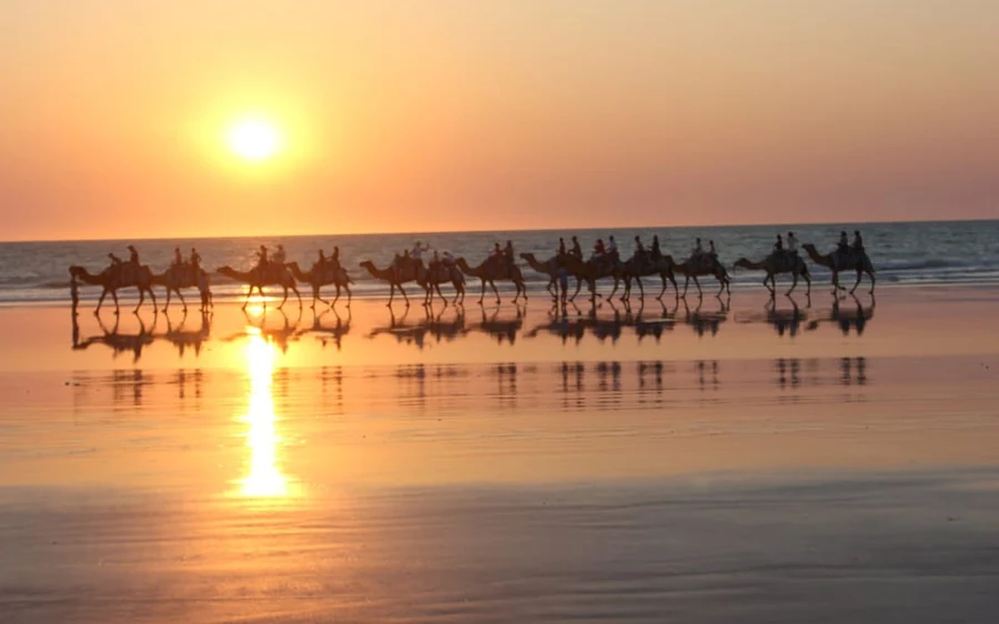 A camel train on Cable Beach at sunset